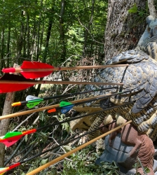 Compétition : Championnat de Savoie de Tir à l'Arc 3D