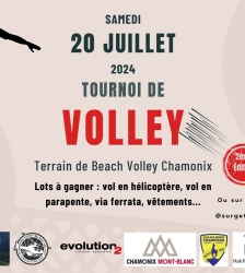Tournoi de volley de la Surgeteam