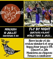 Concert Fly By Night
