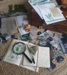 Animation nature : secrets de plantes