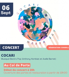 Guinguette concert : soirée électro pop avec Cocari 