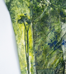 Exposition divers arts : Racine(s)