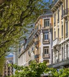Visite guidée : Quand le végétal inspire les architectes : l'exemple des boulevards