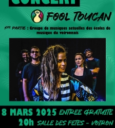 Concert : Fool Toucan