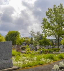Atelier découverte : visite du cimetière des Îles