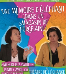 Théâtre : Une mémoire d'éléphant (dans un magasin de porcelaine)