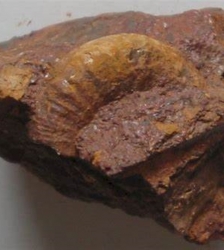 Sortie Lo Parvi : balade géologique contée, l'histoire de la mine de fer de Hières-sur-Amby