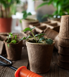 Troc aux plants