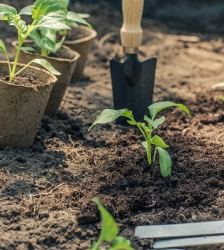 Troc aux plantes et aux savoir-faire nature &agrave; la m&eacute;diath&egrave;que de Montalieu-Vercieu