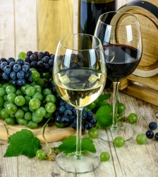 Salon des vins et de la Gastronomie de La Motte Servolex