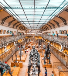 Musées en Fête/Nuit des Musées