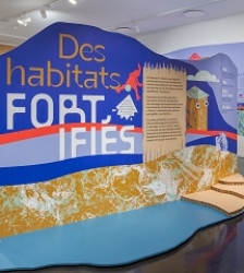 Visite guidée de l'exposition "Fortifications"