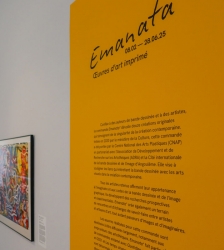 Nuit des musées : Visite flash de l'exposition - Emanata