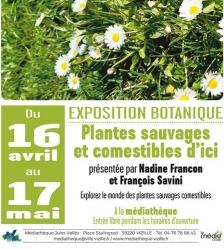 Exposition Plantes sauvages et comestibles d'ici