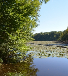 Balade en famille à l'Étang de Malseroud