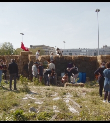 Cinénature : La terre des vertus