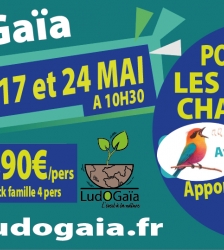 Animation à LudOGaïa : Pourquoi les oiseaux chantent ?