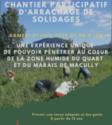 Chantier participatif d'arrachage de solidages à la zone humide du Quart et au marais de Macully