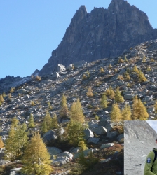 La flore alpine du massif du Mont-Blanc et ses évolutions à l'ère de l'Anthropocène par Brad Carlson, écologue et guide de montagne