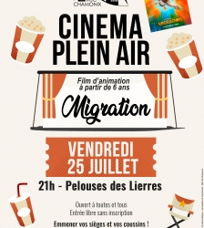 Cinéma plein air sur la Pelouse des Lierres