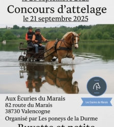 Concours d'attelage (TREC-Dressage-Maniabilité-Marathon)