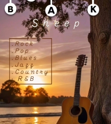 Concert de musiques actuelles : Black Sheep