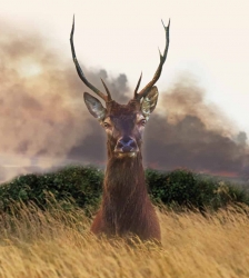 Ciné-nature : Le Vivant qui se défend