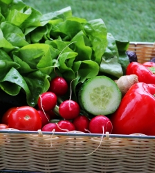 Conférence au Café Crém' : Les bases d'une alimentation saine