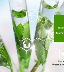 Quels végétaux dans nos assiettes dans le monde de demain ?