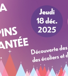 Dans la for&ecirc;t de sapins enchant&eacute;e