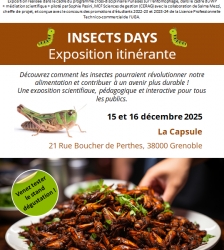 Exposition itin&eacute;rante Insects Days