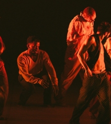 L&rsquo;ivresse des lucioles