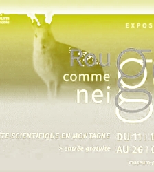 Rencontre un-e scientifique dans l&rsquo;expo - Rouge comme Neige