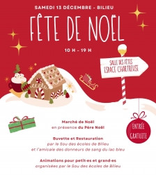 F&ecirc;te de No&euml;l &agrave; Bilieu