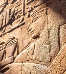 Exposition num&eacute;rique : &Eacute;gypte antique