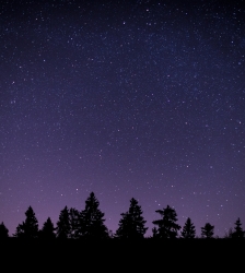 Visite guid&eacute;e de l&rsquo;exposition "Jour sur la nuit" - adapt&eacute;e visiteurs en situation de d&eacute;ficience visuelle