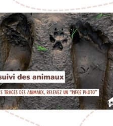 Sortie : "Pistes et suivi des animaux"