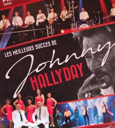 Concert - spectacle  Johnny Hallyday par la compagnie P&eacute;ricard