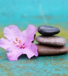 Conf&eacute;rence DMOKA : d&eacute;programmation des &eacute;motions souffrantes