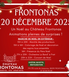March&eacute; de No&euml;l au Ch&acirc;teau de Frontonas