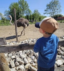 Visite de la ferme p&eacute;dagogique du P&egrave;re Louis