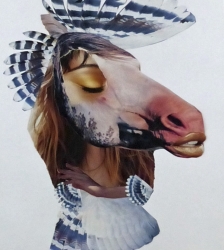 D&eacute;coration de No&euml;l