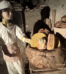 Le monde enchant&eacute; de la Ferme aux Mille Lumi&egrave;res