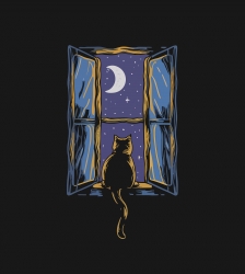 Entre Midi et Science - Quand tombe la nuit : nos peurs prennent-elles le dessus ?