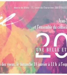 Cérémonie des vœux du maire