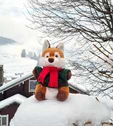 Les histoires de Rudy