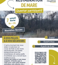 Sortie nature : restauration de mare - chantier participatif