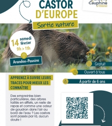 COMPLET - Sortie nature : sur les traces du castor