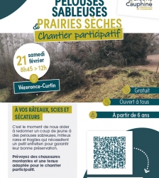 Sortie nature : entretien de pelouses sableuses et prairies s&egrave;ches &ndash; chantier participatif