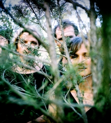 Des oiseaux la nuit : Chanson folk &agrave; la bougie